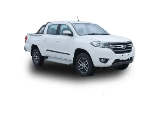 VIKA T2 Gasoline, AT, Double Cabin, PRO 4*2 (White) - 2026