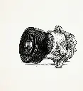 [1025200RAA] Automatic tensioning wheel