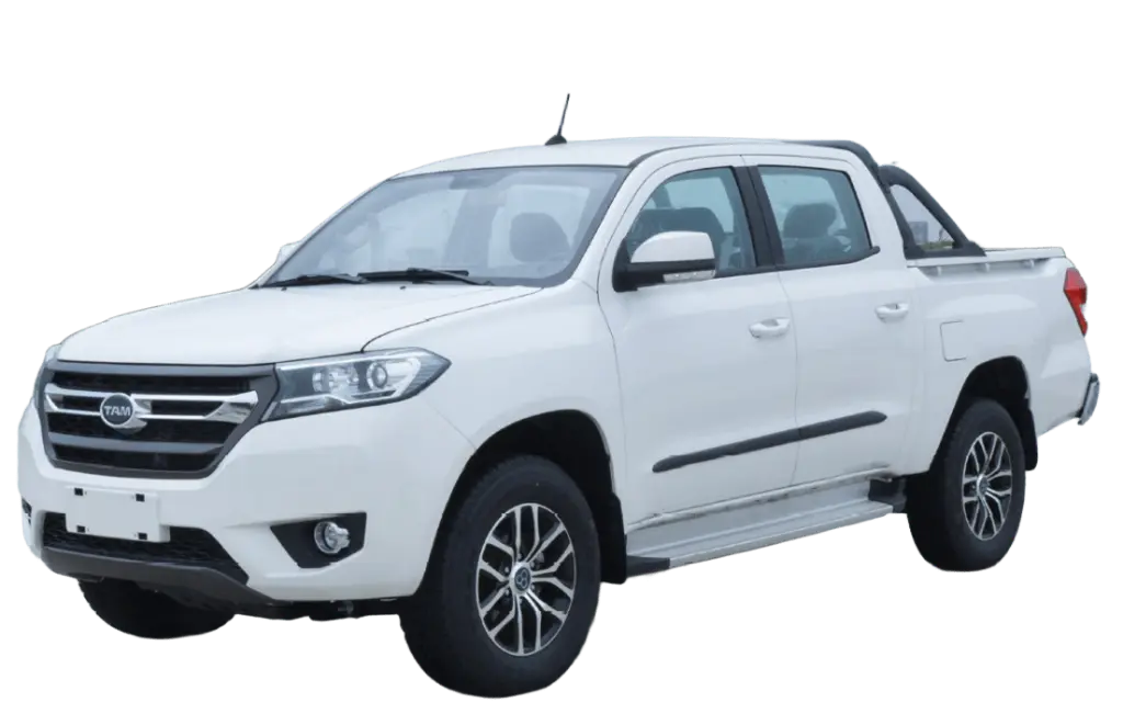 vika-t2_1 (2) (1).webp