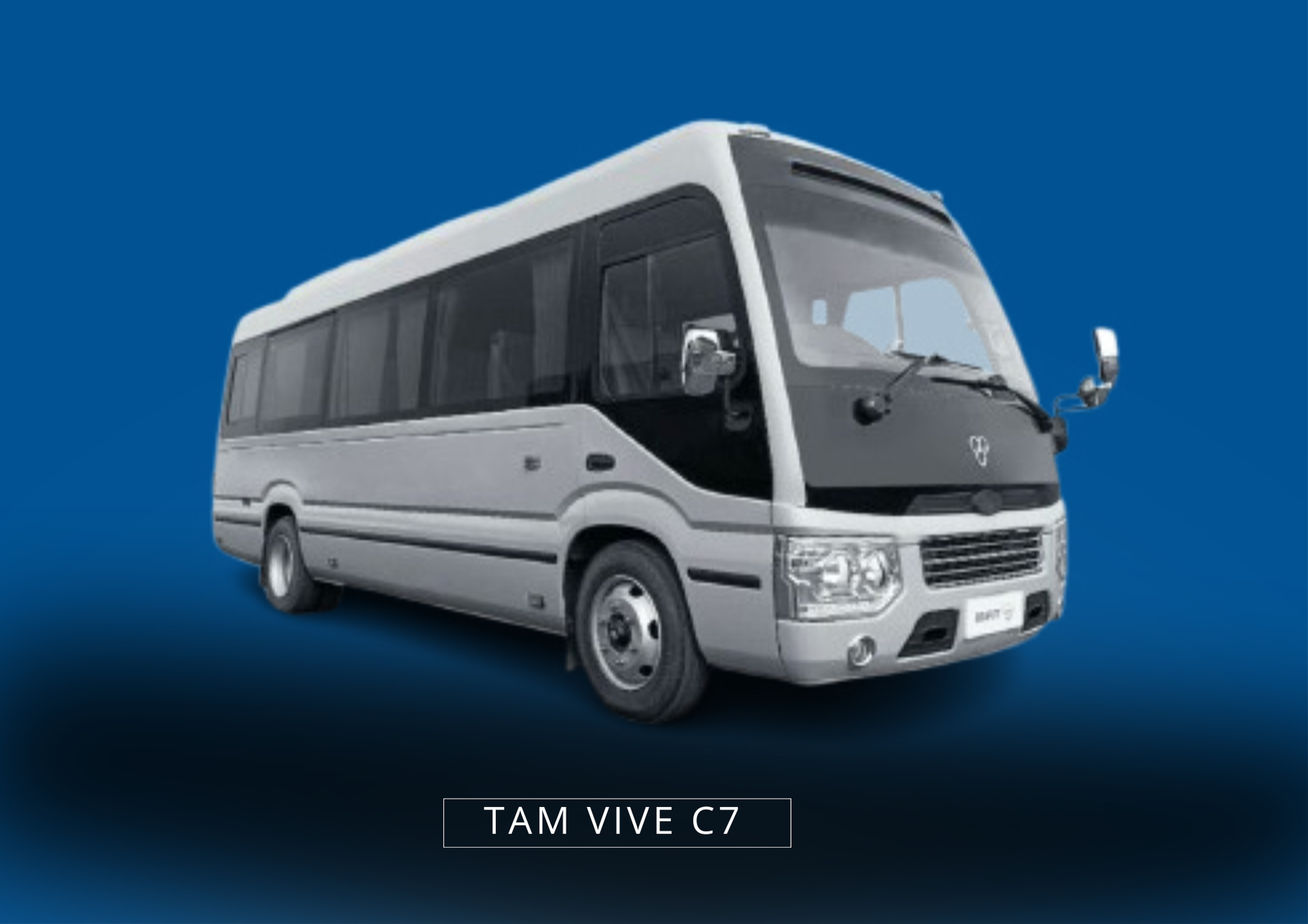 TAM VIVE C7 Minibus